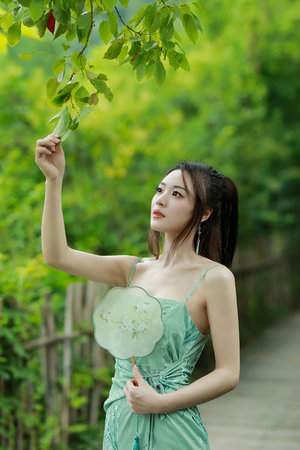 荡乱的视频