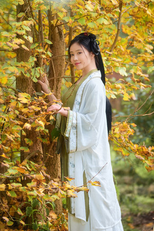 欧美人与动牲交欧美