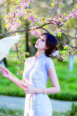 ai明星造梦工厂