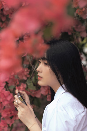 动漫Hentai无尽