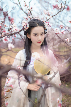 青青草原在线播放