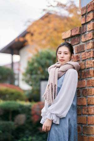 红娘子剧情简介