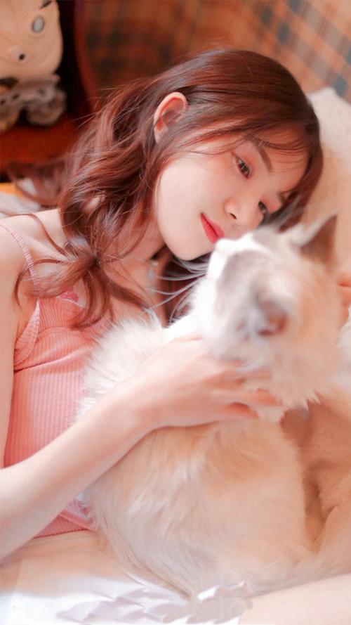 欧美日韩A片不卡在线观看