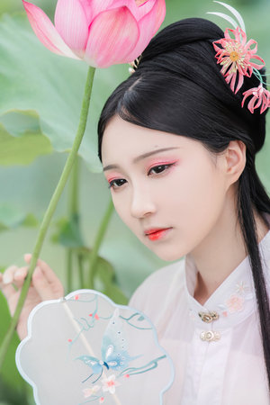 钢之炼金术师fa