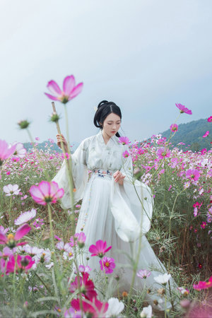 欧美高H不打码在线观看