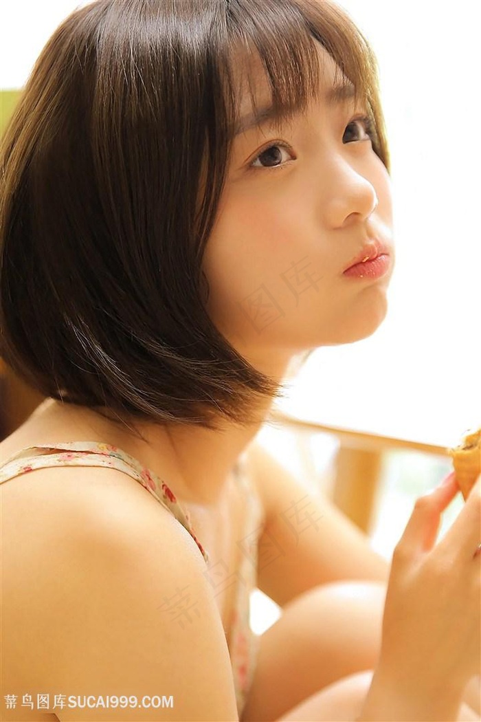 家政女仆