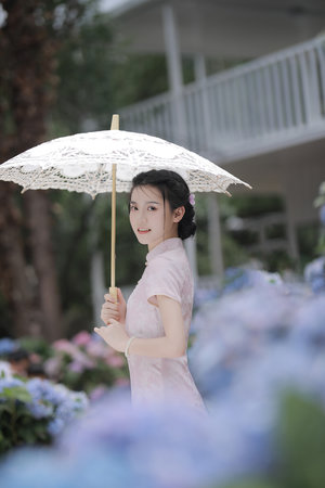 情陷撒哈拉