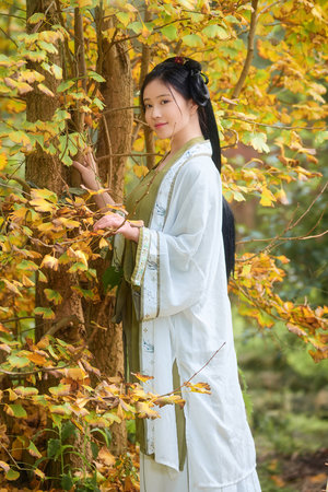 三级网址在线