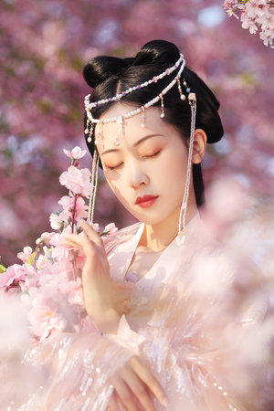 鉴黄师免费在线观看