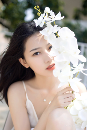 赶尸艳谈在线观看影片