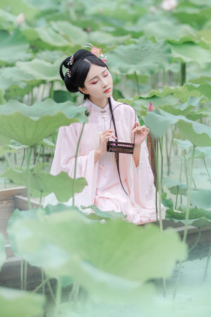 2024伦理片