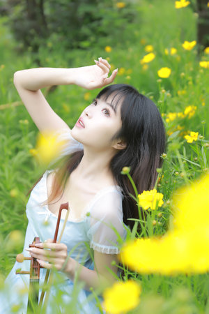 再见美丽小姐电视剧在线观看