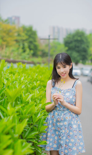 金瓶双艳 下载