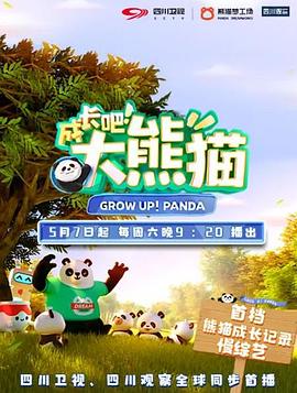 成长吧！大熊猫