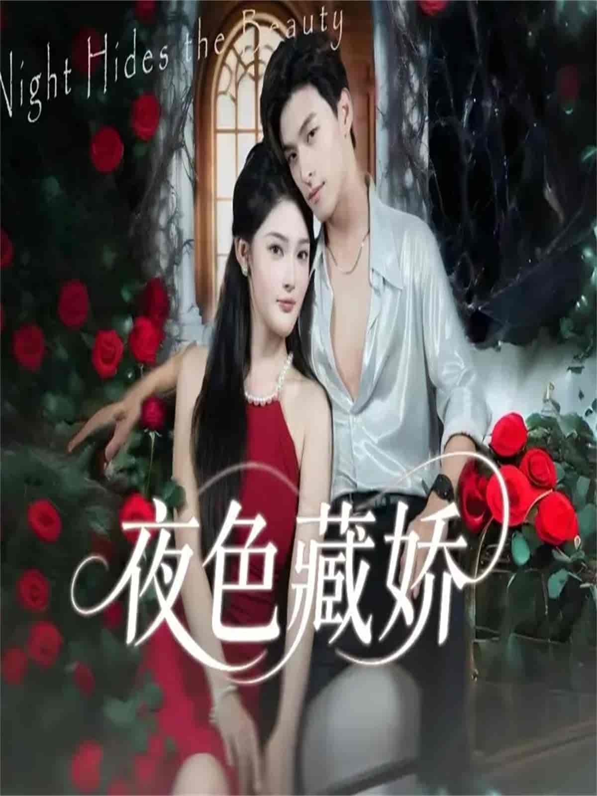 夜色藏娇